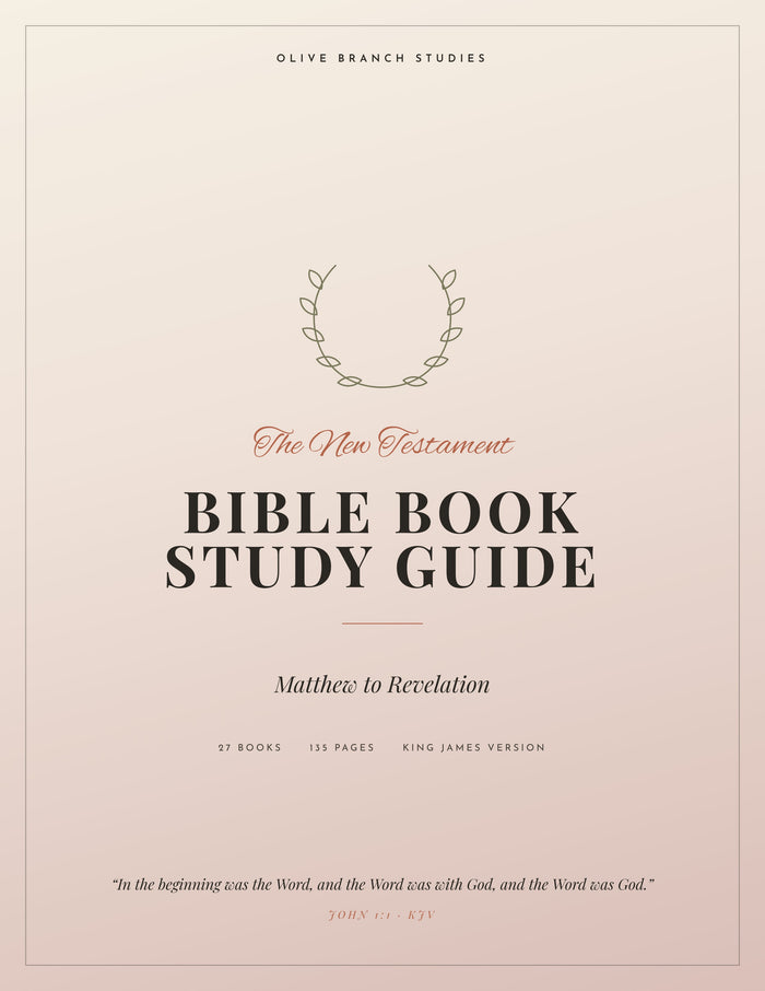 New Testament Bible Book Study Guide (27 Books)