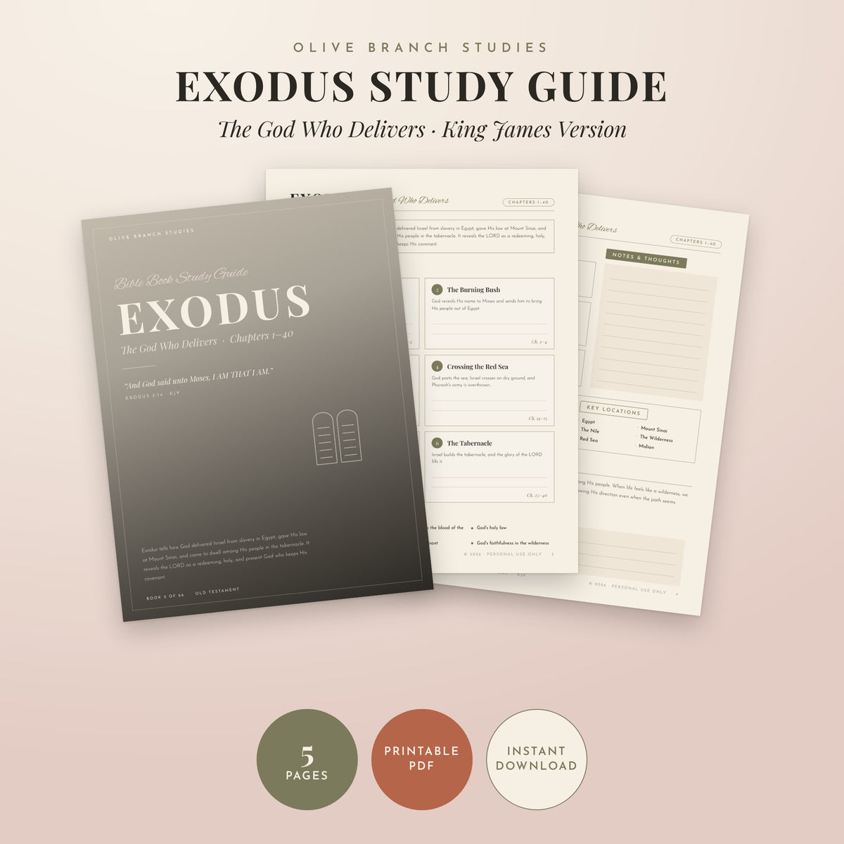 Exodus Bible Book Study Guide by Olive Branch Studies