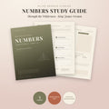 Numbers Bible Book Study Guide by Olive Branch Studies