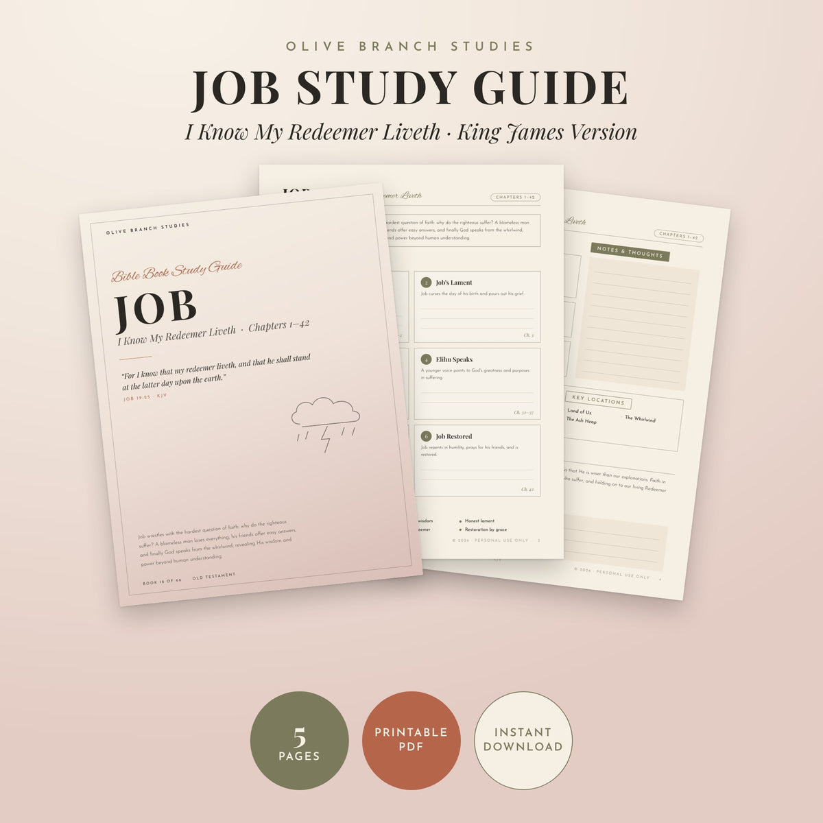 Job Bible Book Study Guide by Olive Branch Studies