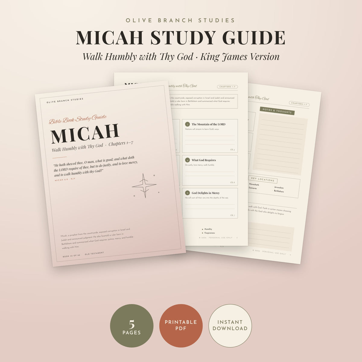 Micah Bible Book Study Guide by Olive Branch Studies