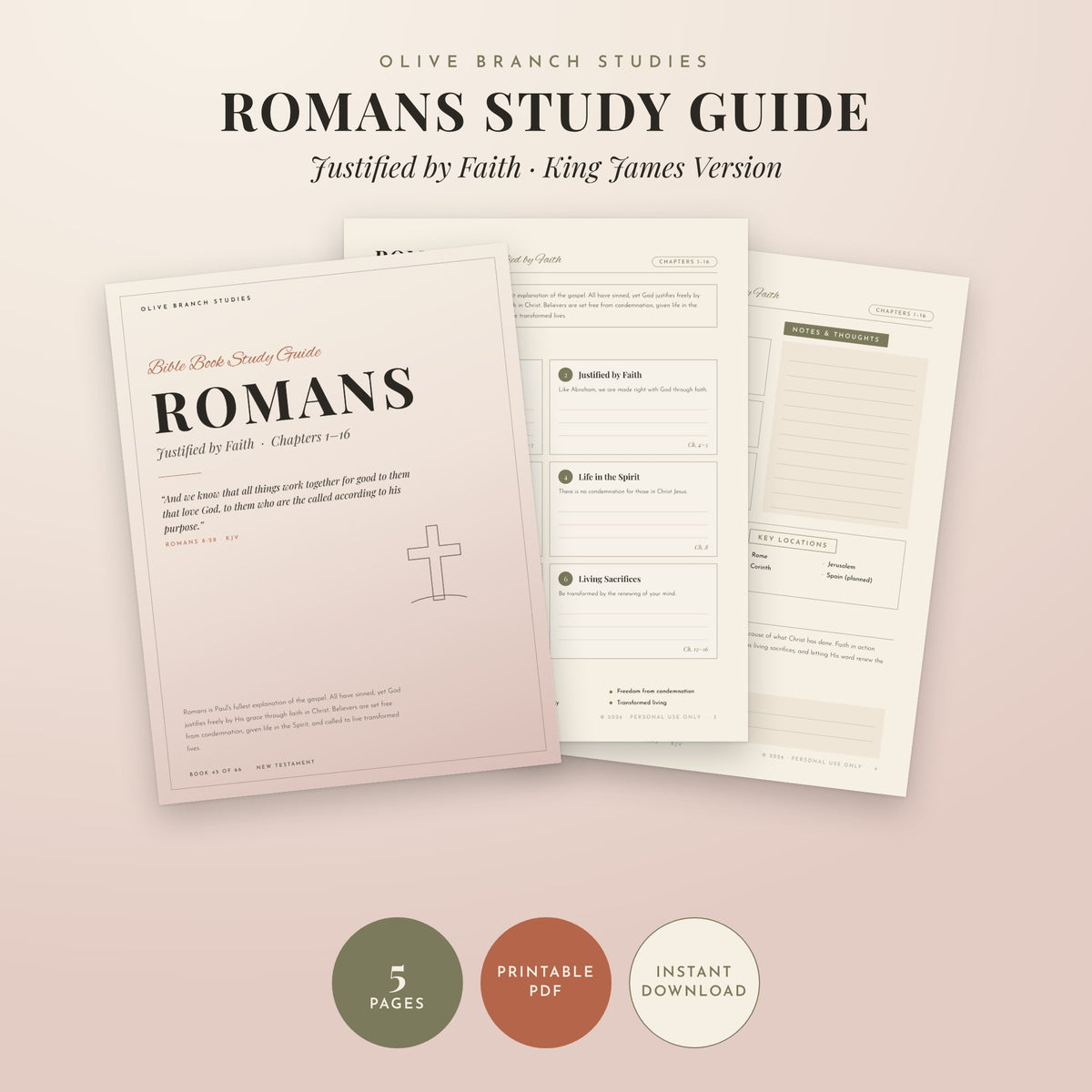 Romans Bible Book Study Guide by Olive Branch Studies
